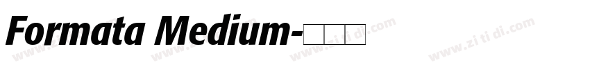 Formata Medium字体转换